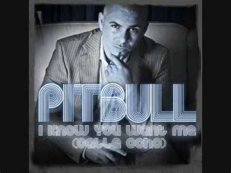 lyrics pitbull|More.